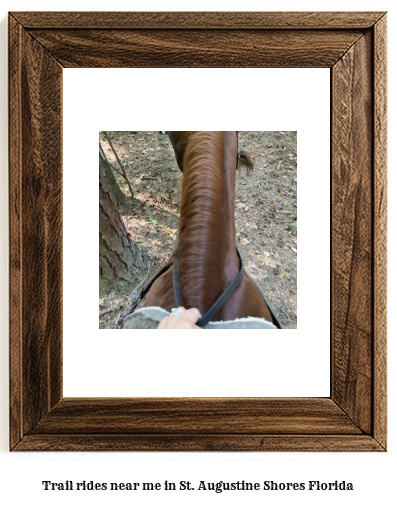 trail rides near me in St. Augustine Shores, Florida